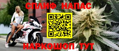 молекула духа Абинск